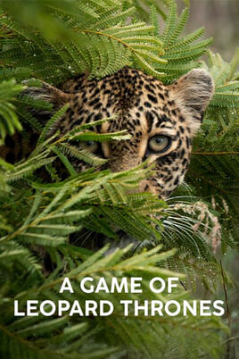 Oglądaj A Game of Leopard Thrones online