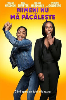 Urmărește online Nobodys Fool