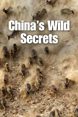 Oglądaj Chinas Wild Secrets online