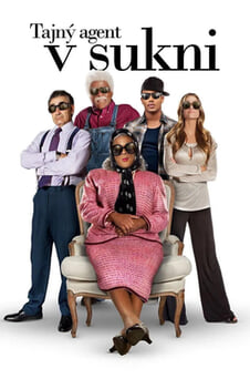 Sledovať Tajný agent v sukni online