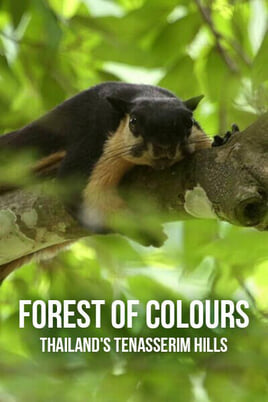 Oglądaj Forest of Colours Thailands Tenasserim Hills online