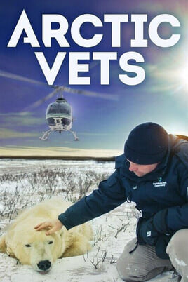 Oglądaj Arctic Vets online