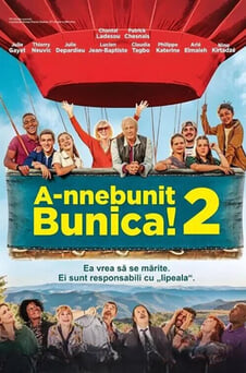 Urmărește online Annebunit bunica 2