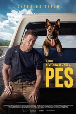 Pes - SWEET.TV Sledovat Pes online