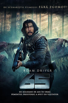 Urmărește online 65