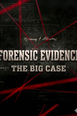 Sledovat Forensic Evidence The Big Case online