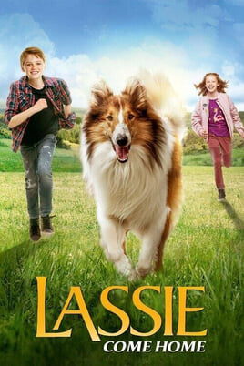 Urmărește online Lassie se întoarce acasă