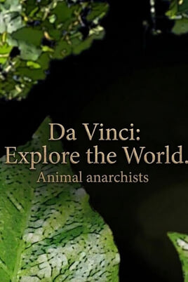 Oglądaj Da Vinci Explore the World Animal anarchists online