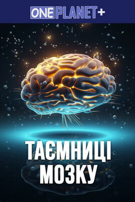 Oglądaj One Planet  Secrets of the Brain online