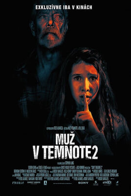 Muž v temnote 2