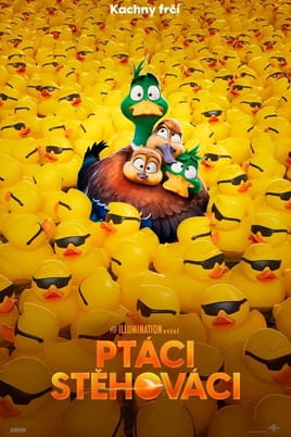 Ptáci stěhováci - SWEET.TV Sledovat Ptáci stěhováci online