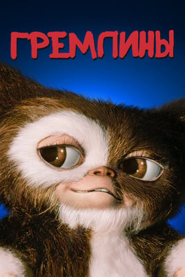 Paharetid
