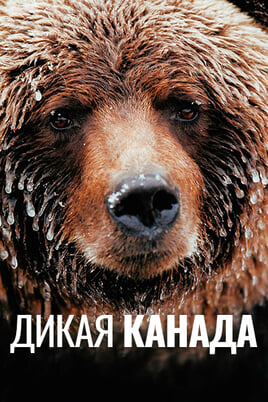 Wild Canada