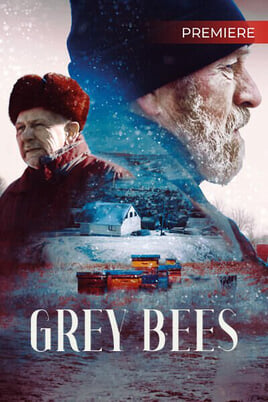 Oglądaj Grey Bees online