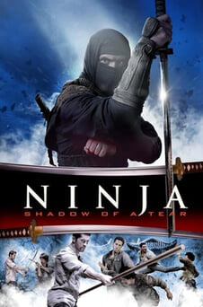 Urmărește online Ninja Răzbunarea