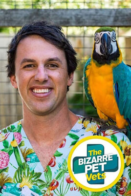 Sledovať The Bizarre Pet Vets online