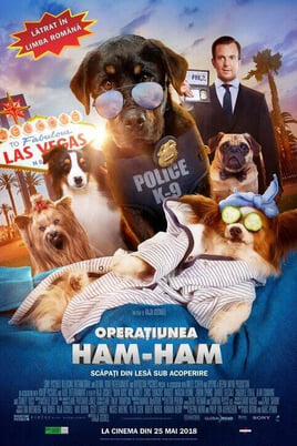 Urmărește online Operaţiunea HamHam