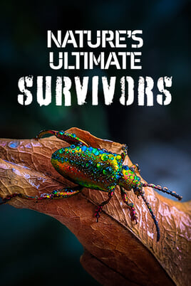 Oglądaj Natures Ultimate Survivors online