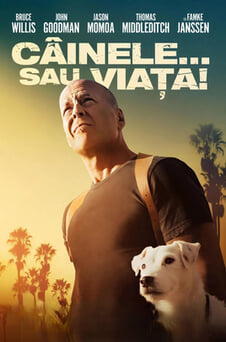 Urmărește online Câinele sau viața