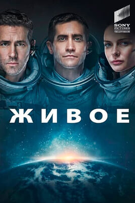Gyvybė