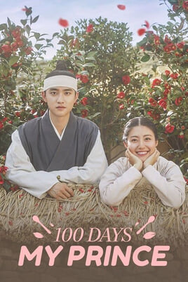 Sledovať 100 Days My Prince online