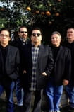 Filme cu actorul Los Lobos