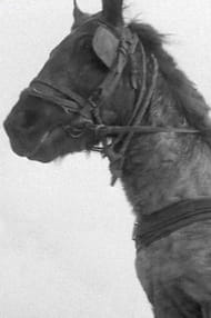 Filmek a színésszel Ricsi