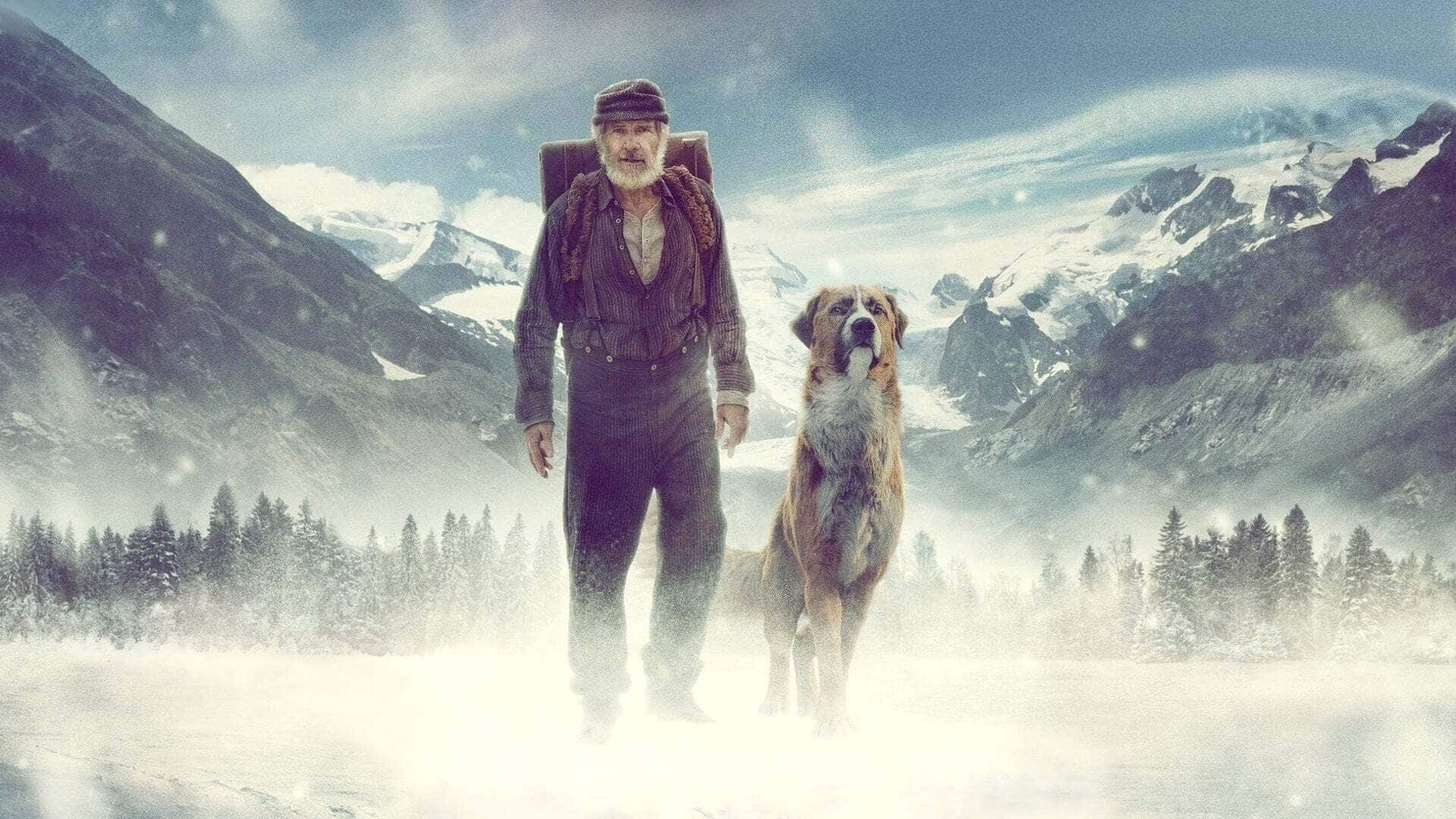 Volání divočiny