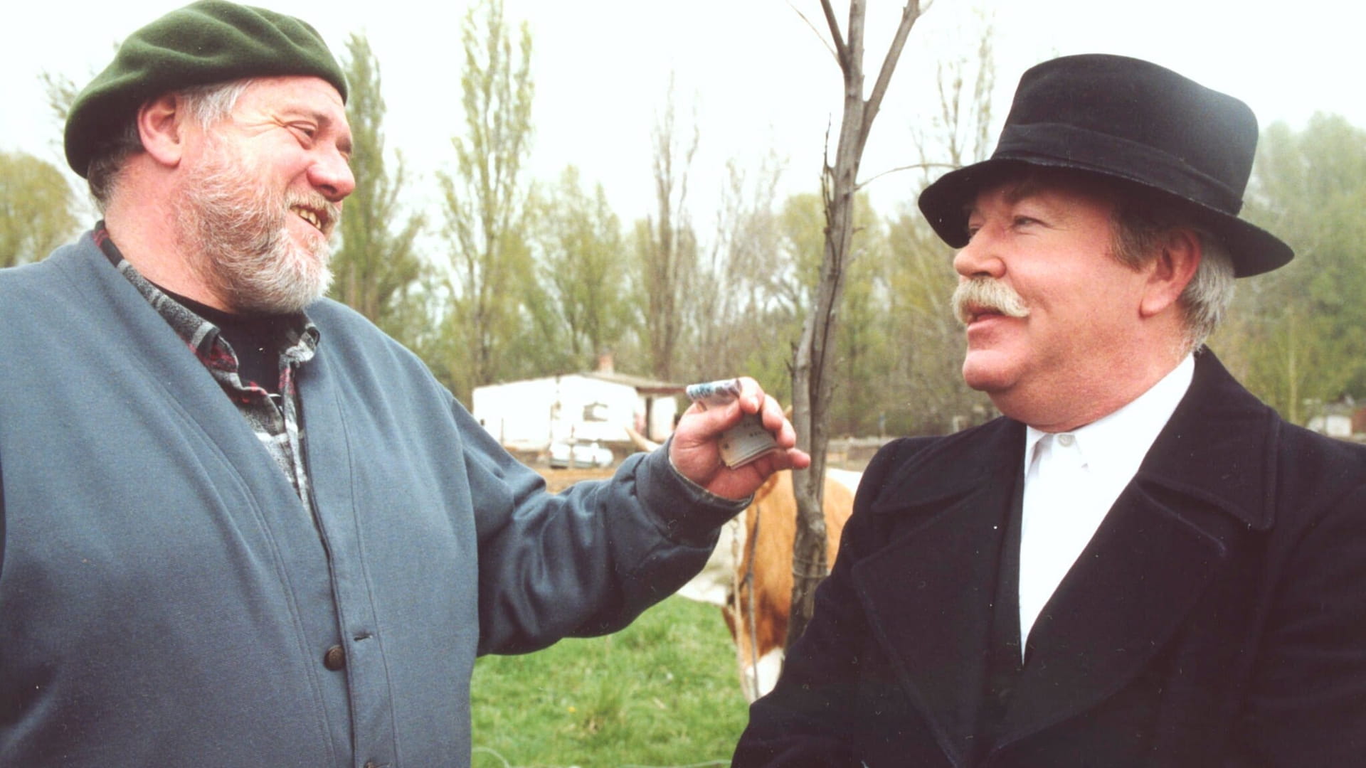 Gálvölgyi Show