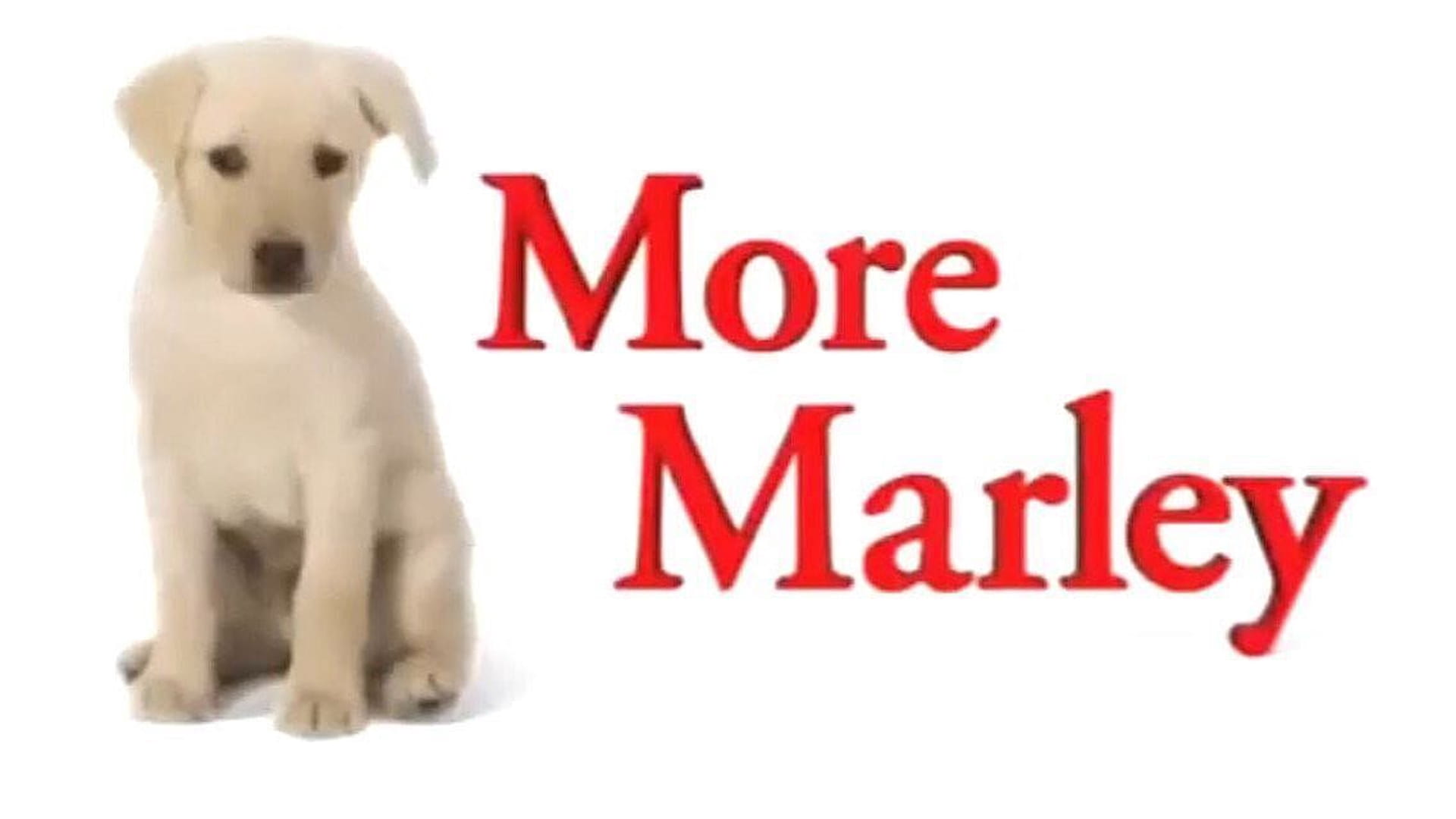 Marley meg én: A kölyökévek