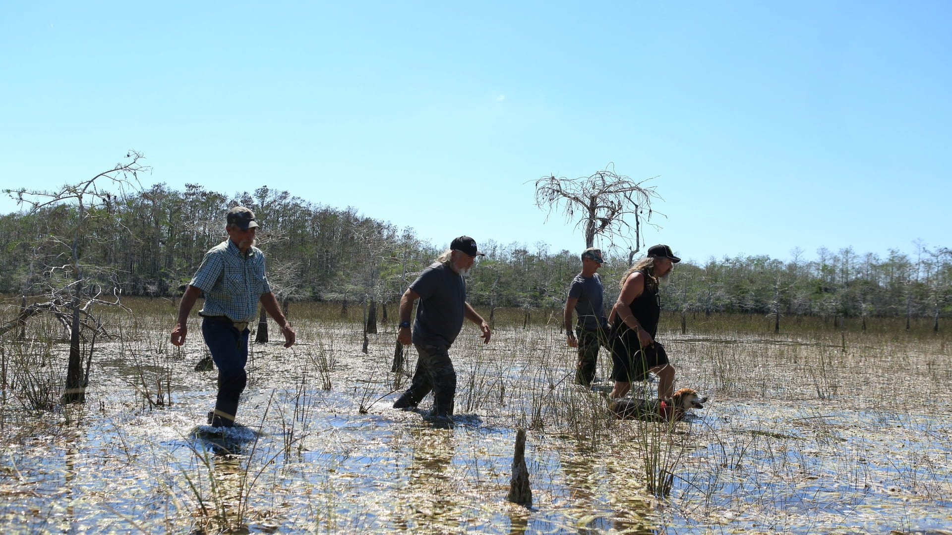 Strážcové parku Everglades
