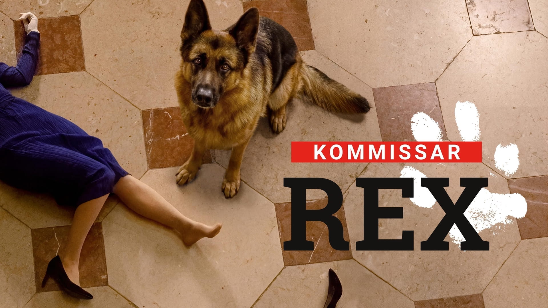 Rex: Powrót do Wiednia