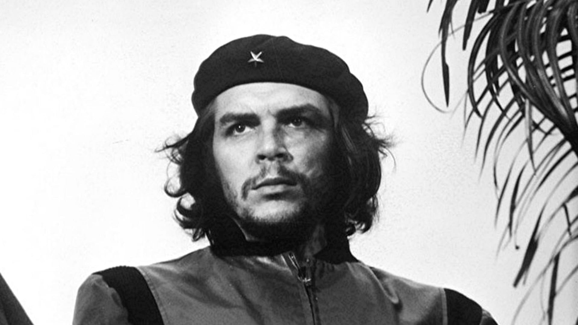 Che Guevara: poodkrytí pravdy