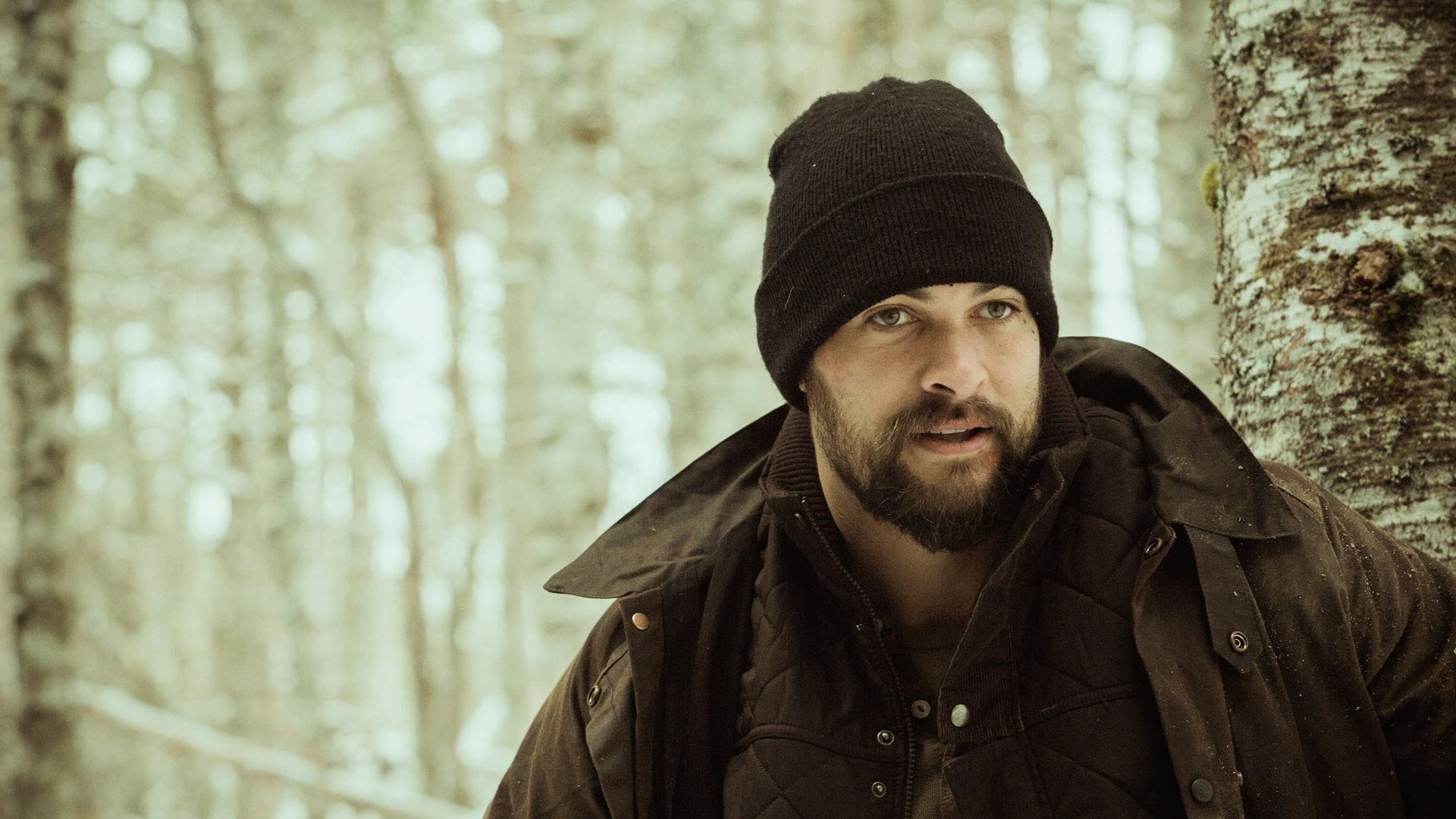 Braven