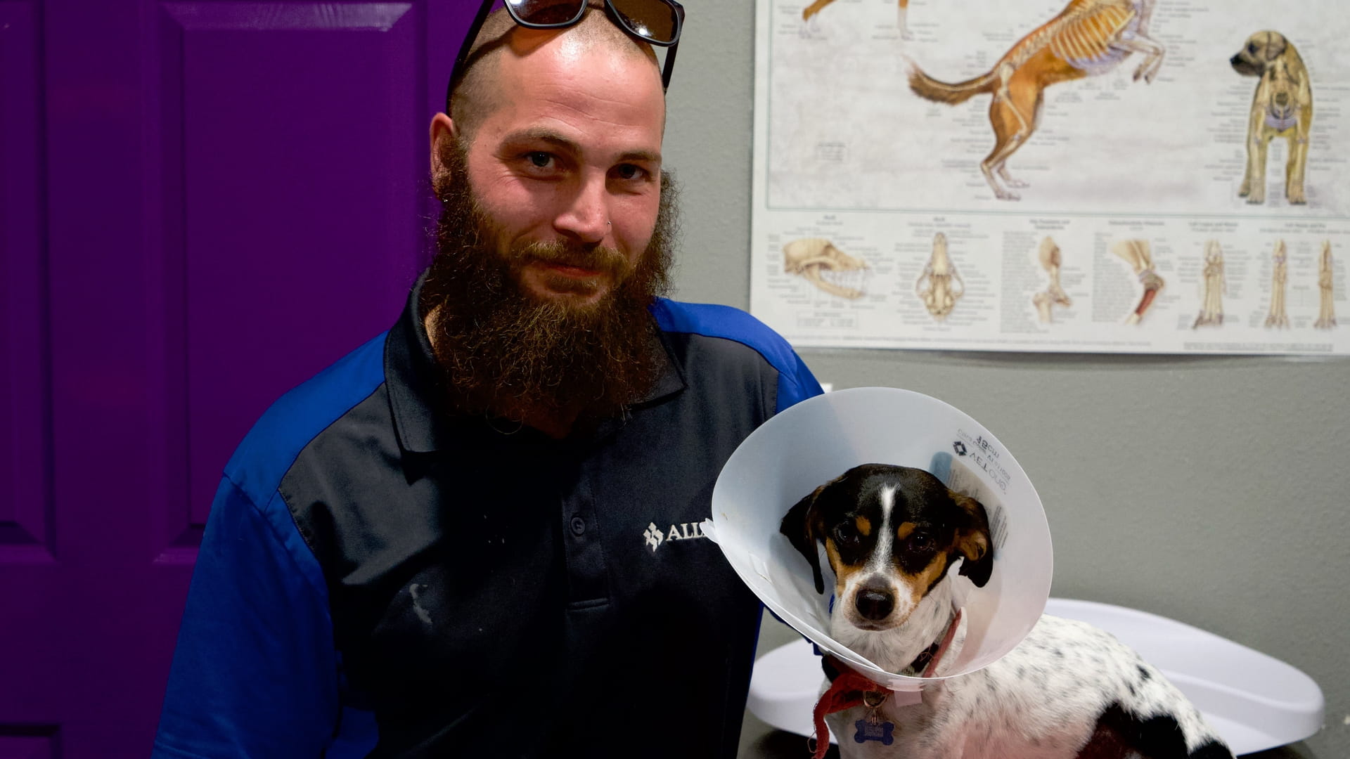 Dr. Jeff: Veterinář ze Skalnatých hor