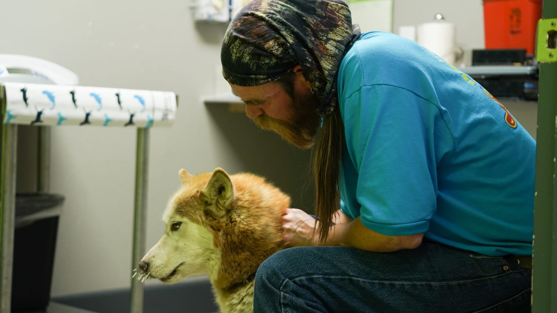 Dr. Jeff: Veterinár zo Skalnatých hôr