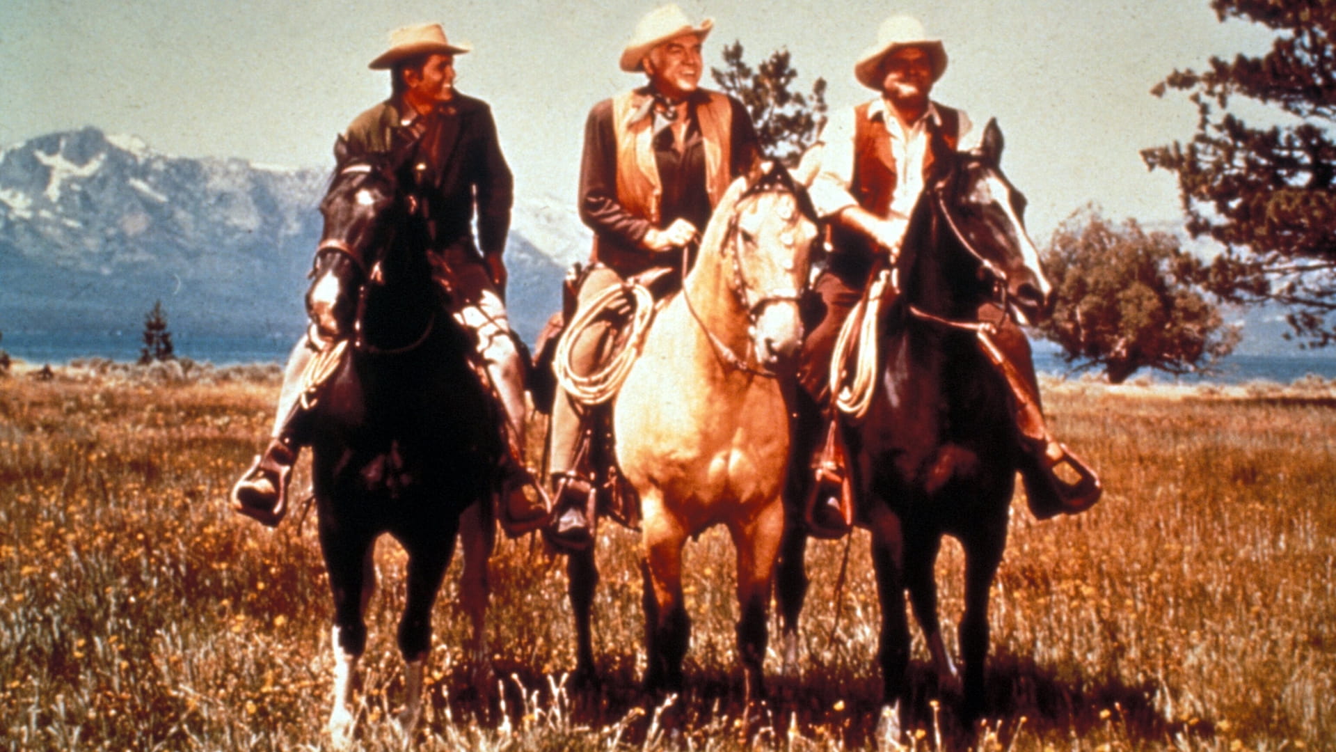 Bonanza