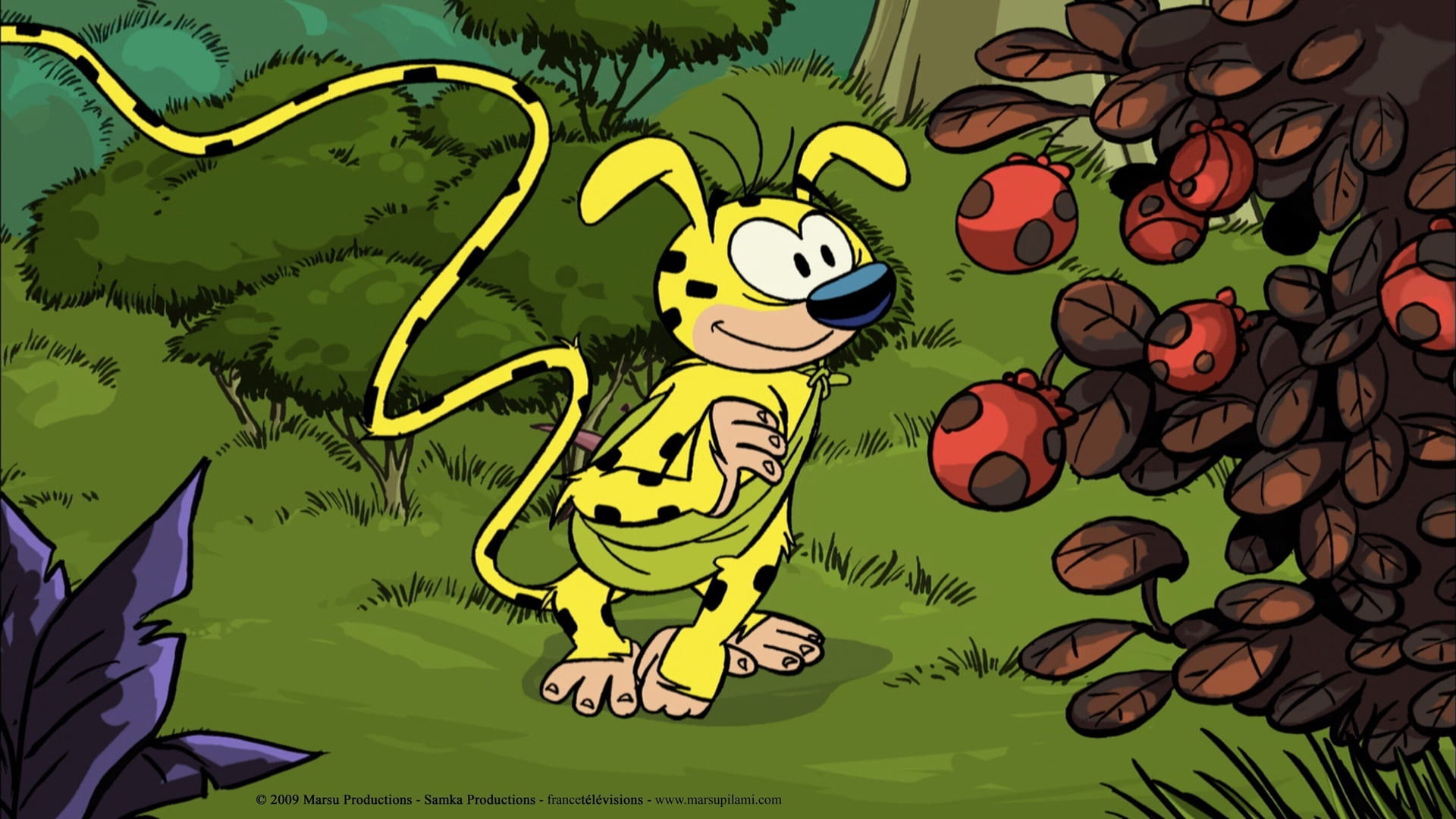 Marsupilami