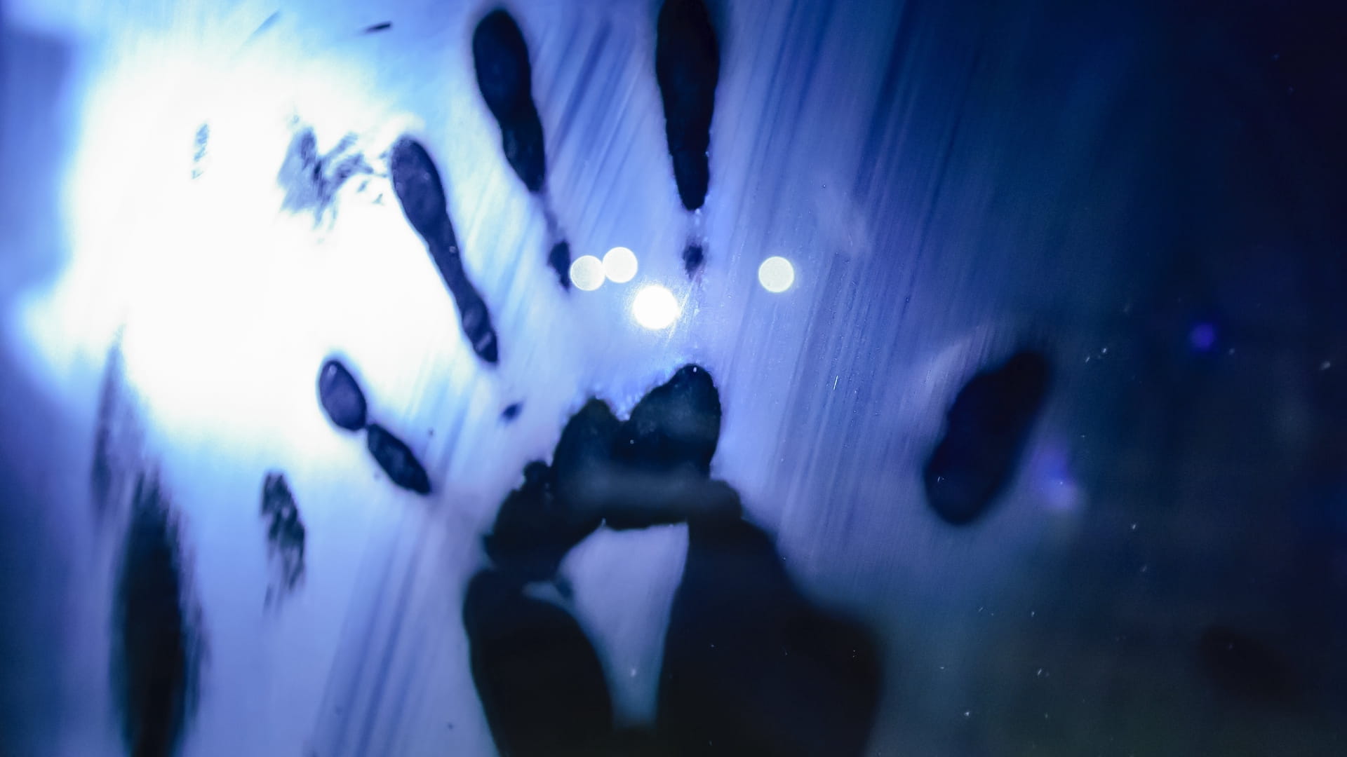 Lovci paranormální minulosti