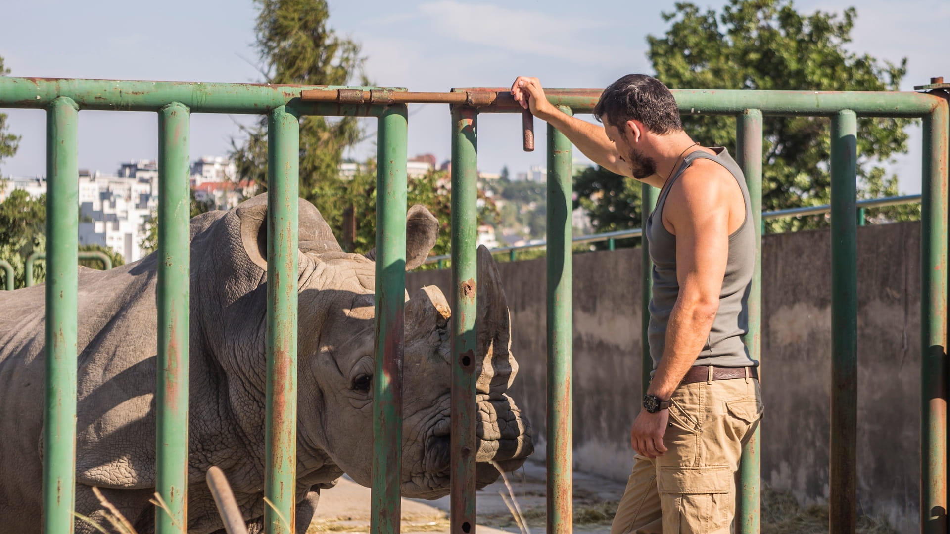 Zoo
