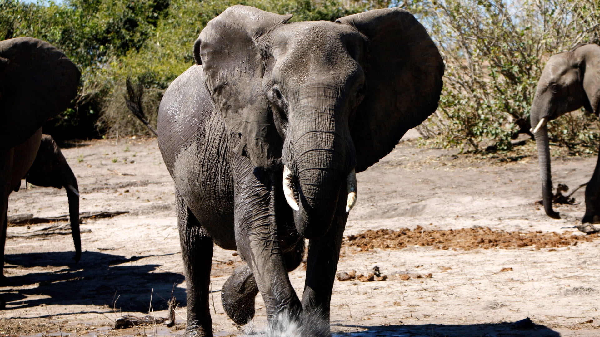 Afryka - Wyprawa na safari