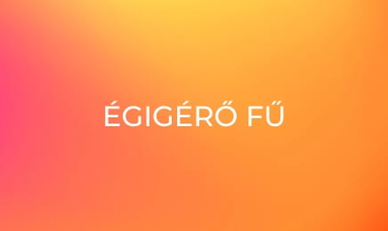 Égigérő fű