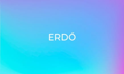 Erdő