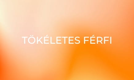 Tökéletes férfi