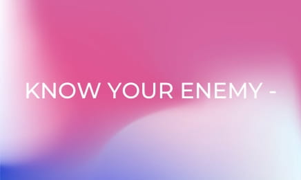 Know Your Enemy - Japan