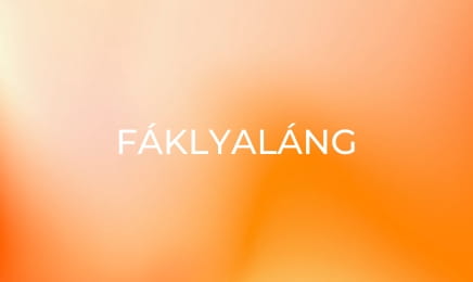 Fáklyaláng