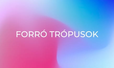 Forró trópusok