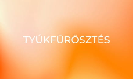 Tyúkfürösztés