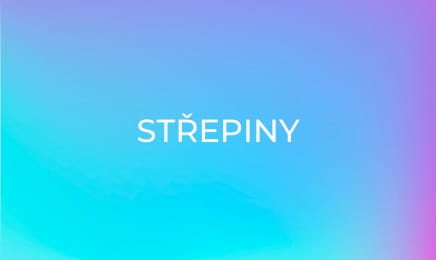 Střepiny
